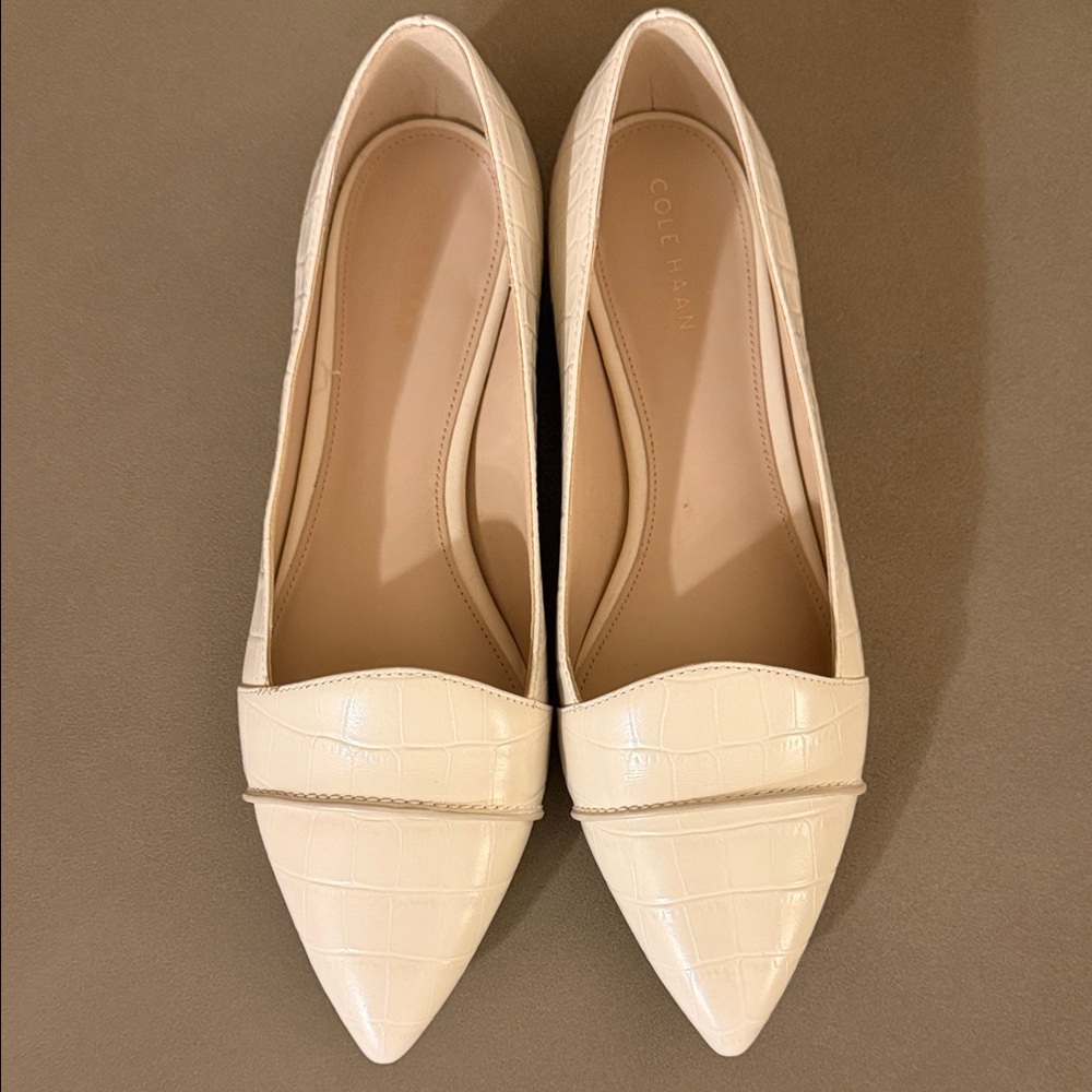 Cole Haan Croc-Embossed Pointed Toe Flats in White